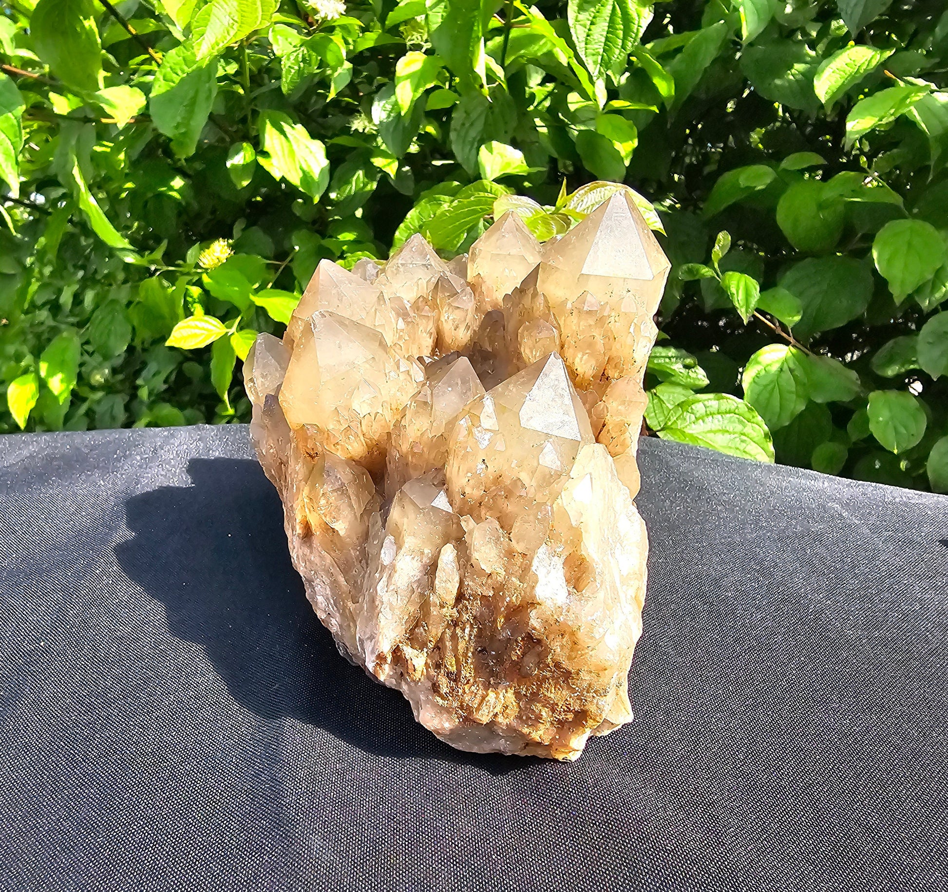large kundalini citrine cluster