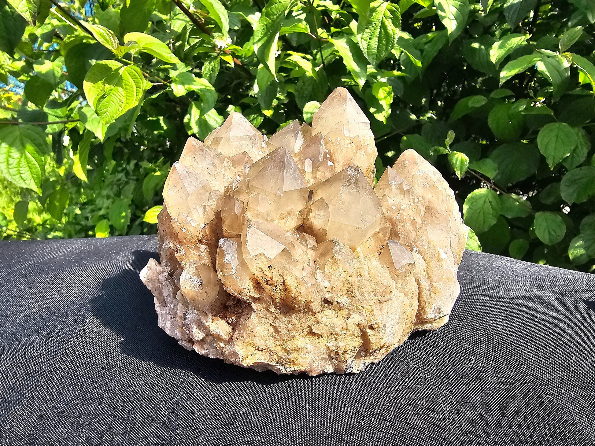 XL citrine natural cluster