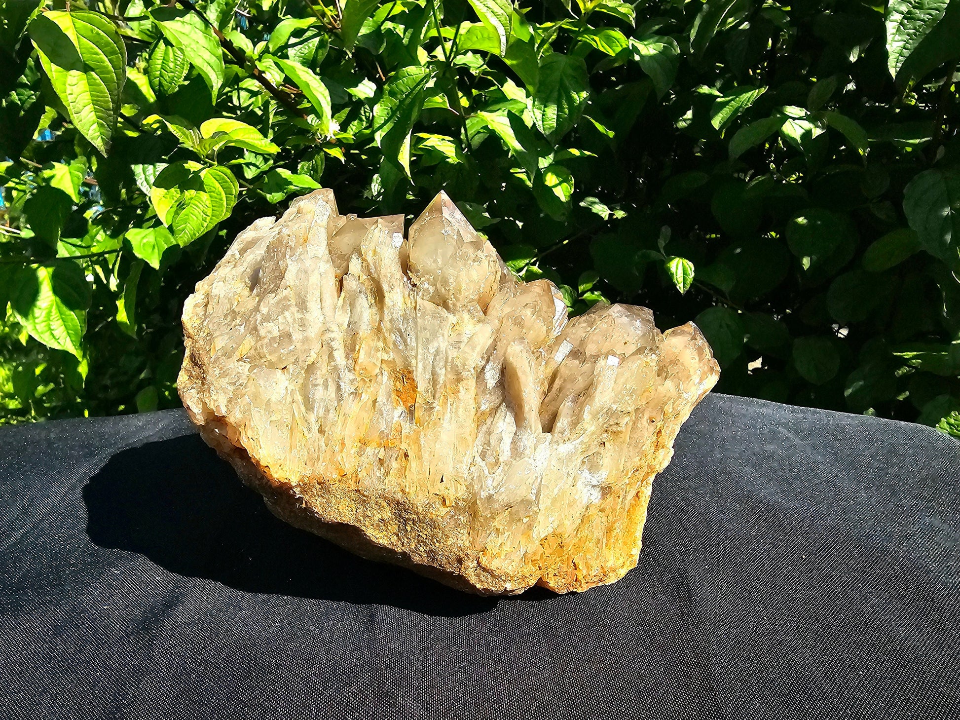 XL citrine cluster