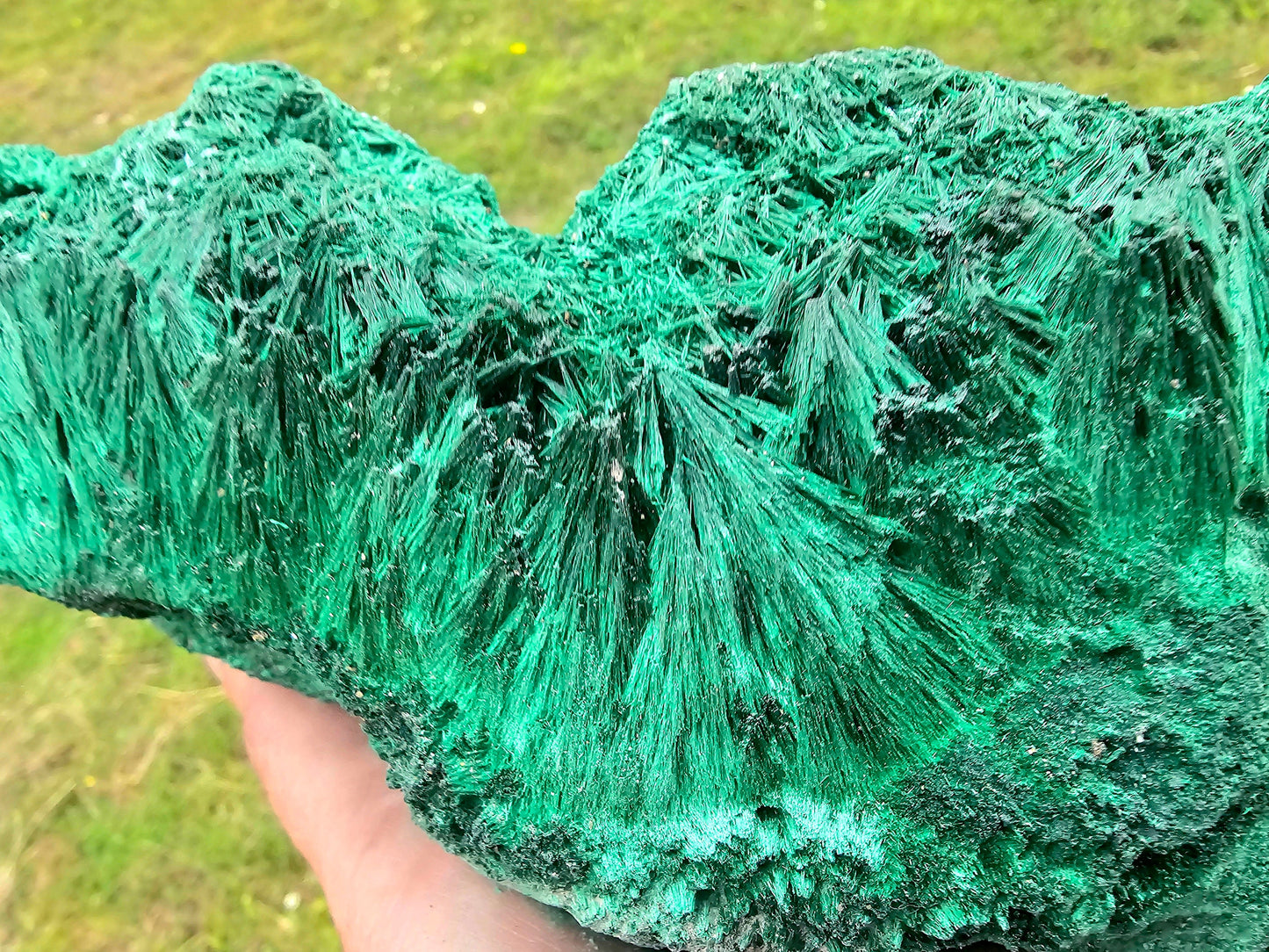 huge large velvet malachite collector pieces