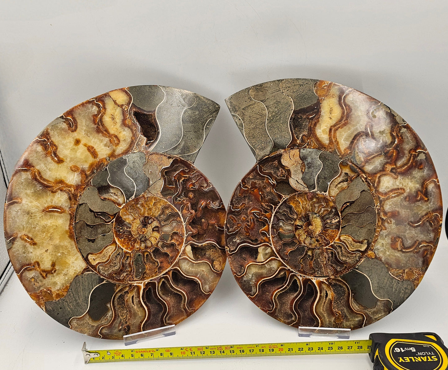 Extra Large Ammonite Fossil Pair 4.2KG