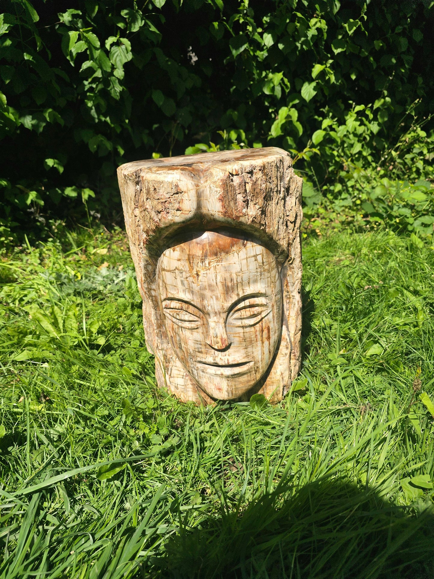 XL Large Petrified Fossil Wood Carving 62KG