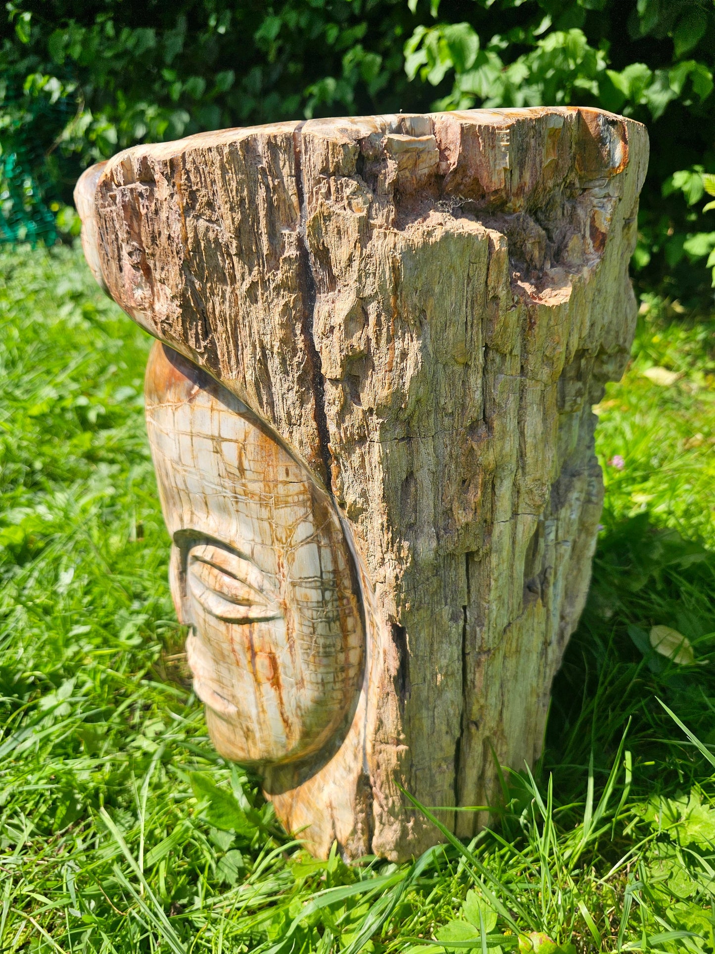 XL Large Petrified Fossil Wood Carving 62KG