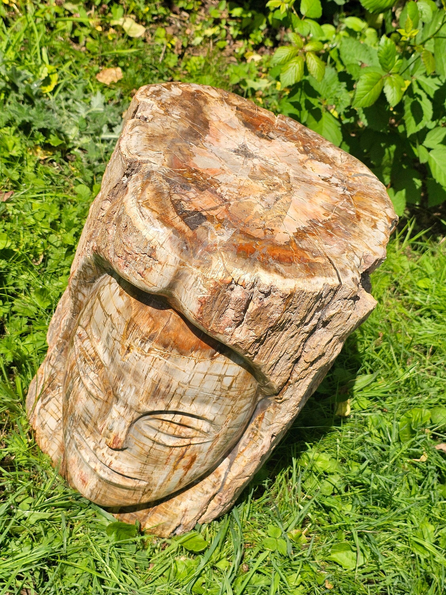 XL Large Petrified Fossil Wood Carving 62KG
