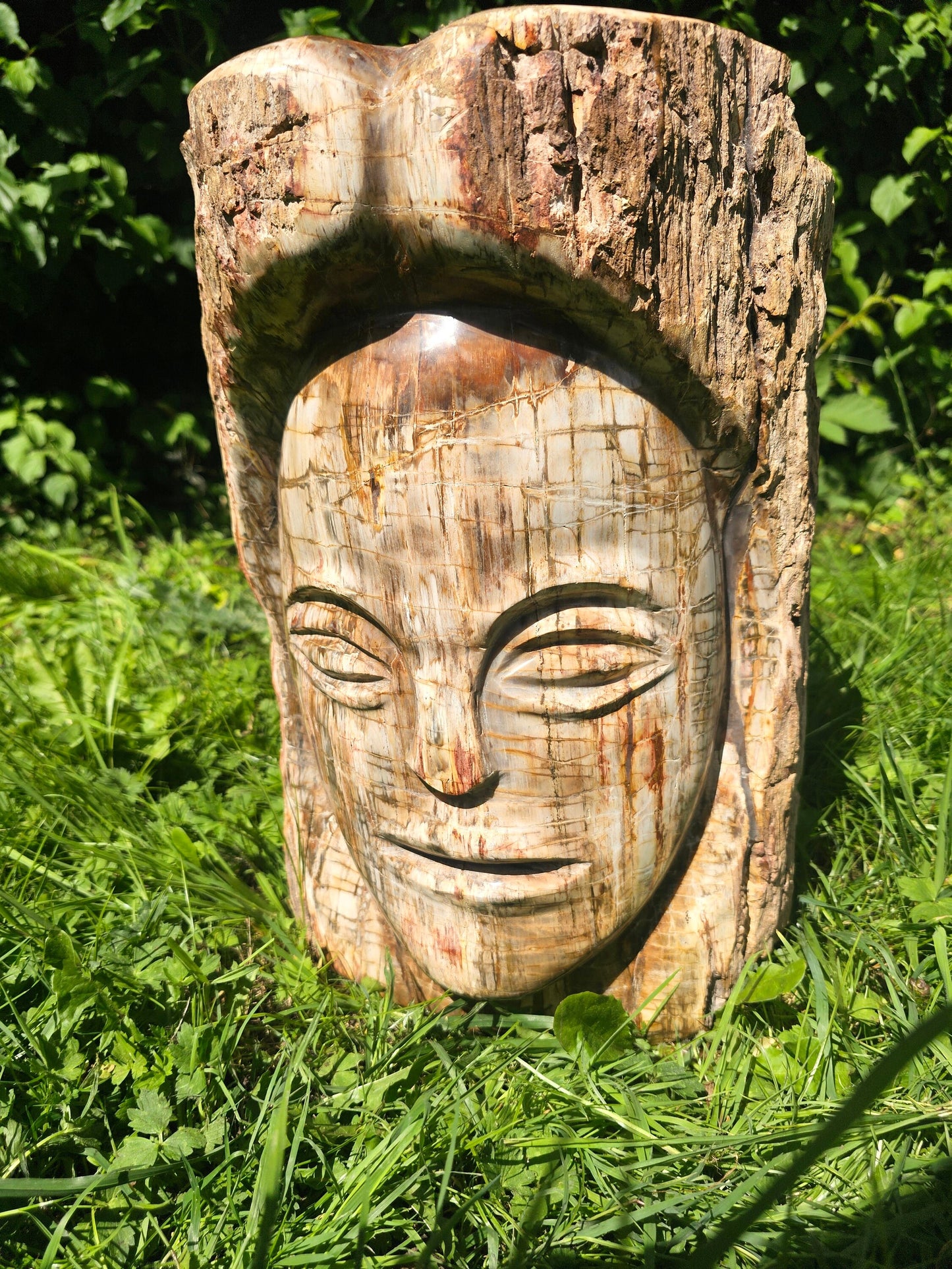 XL Large Petrified Fossil Wood Carving 62KG