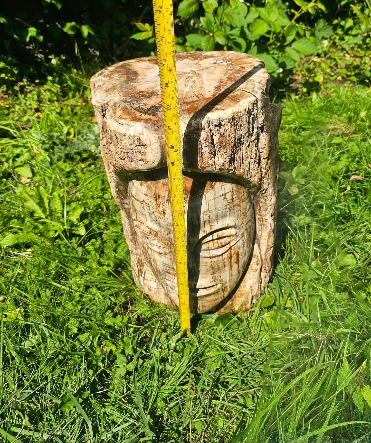 XL Large Petrified Fossil Wood Carving 62KG