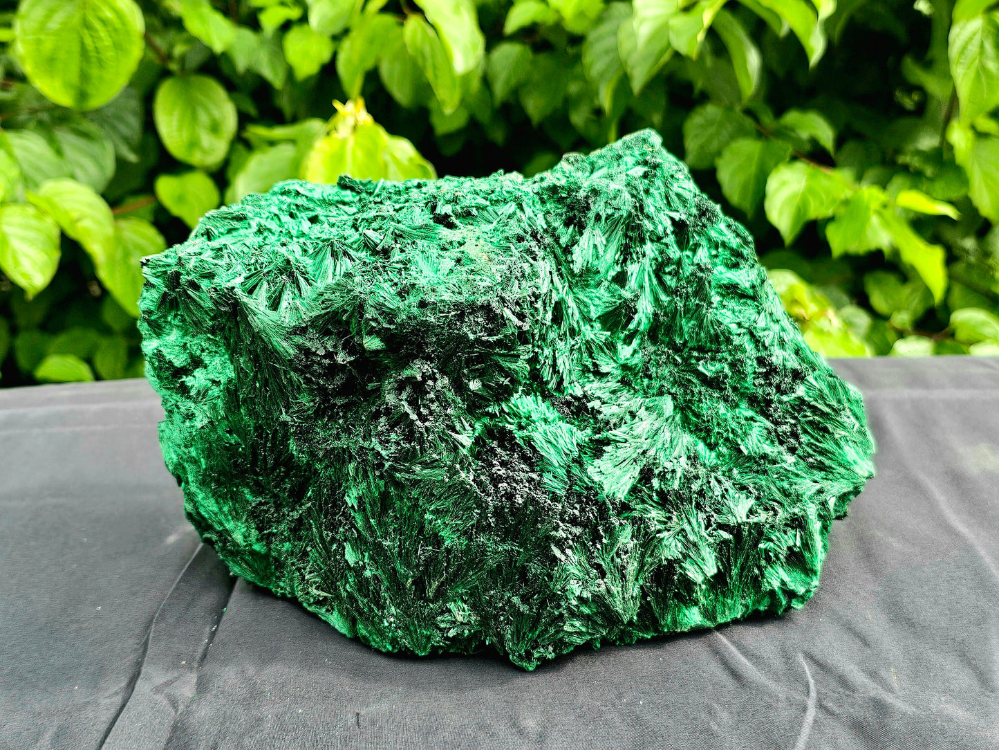 XL Velvet Malachite Crystal