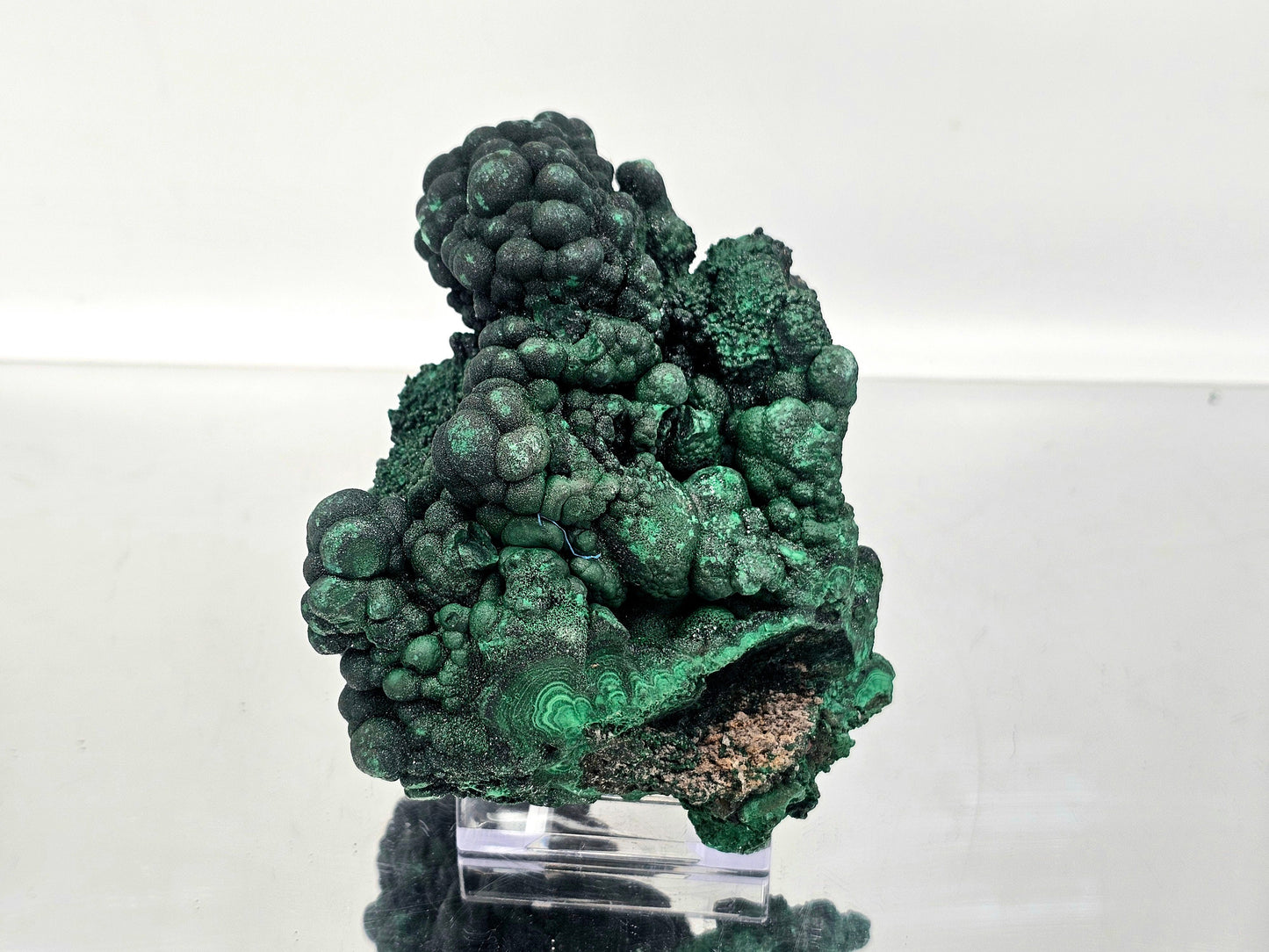 Large Malachite Botryoidal Crystal