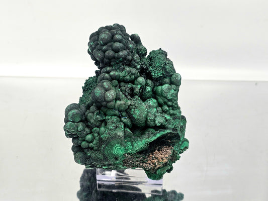Large Malachite Botryoidal Crystal