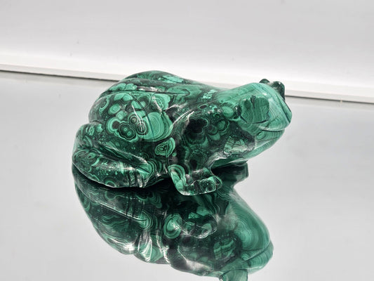 Large Malachite Crystal Toad Frog Carving  761g
