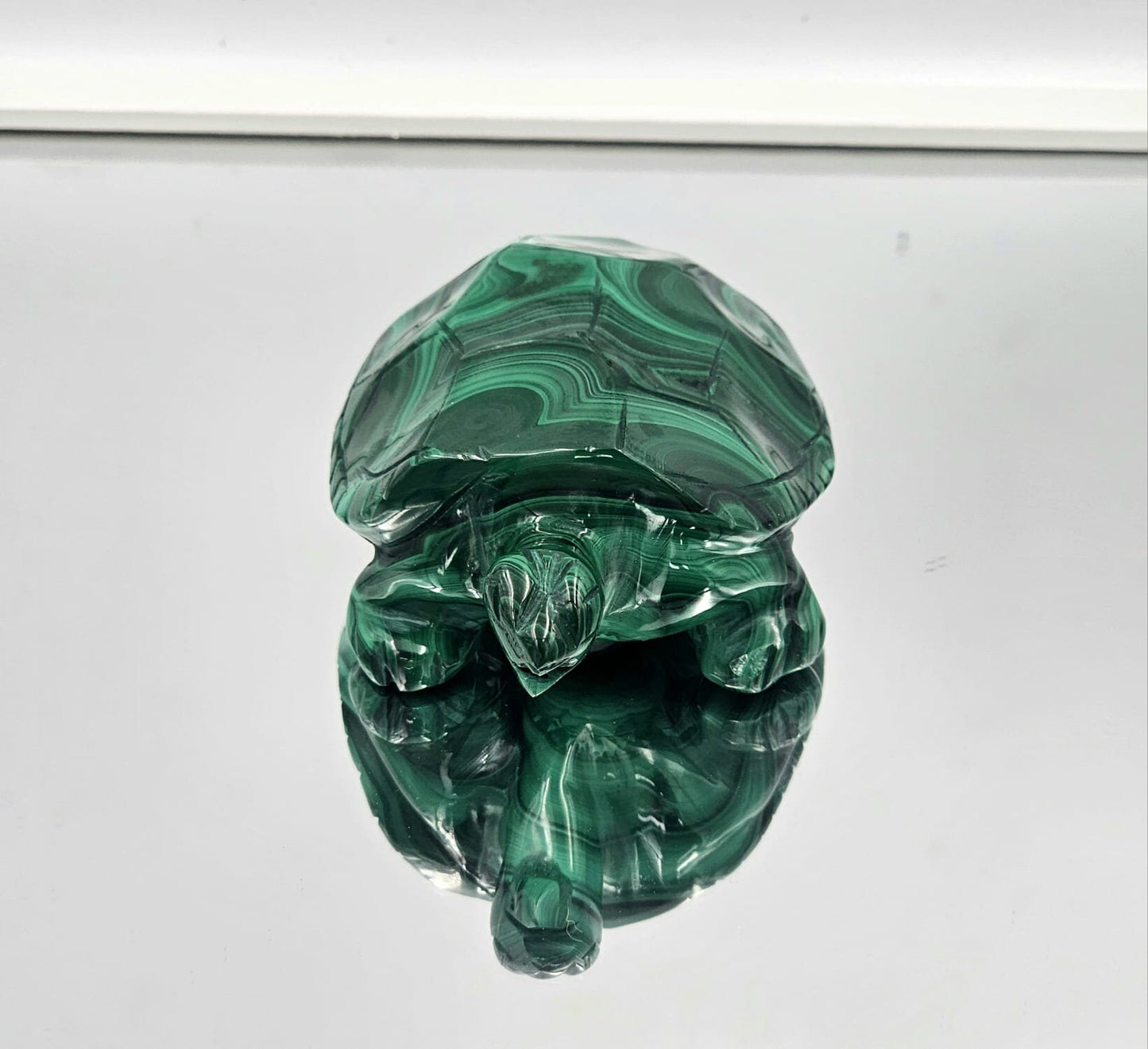 Large Malachite Crystal Turtle Carving  503g