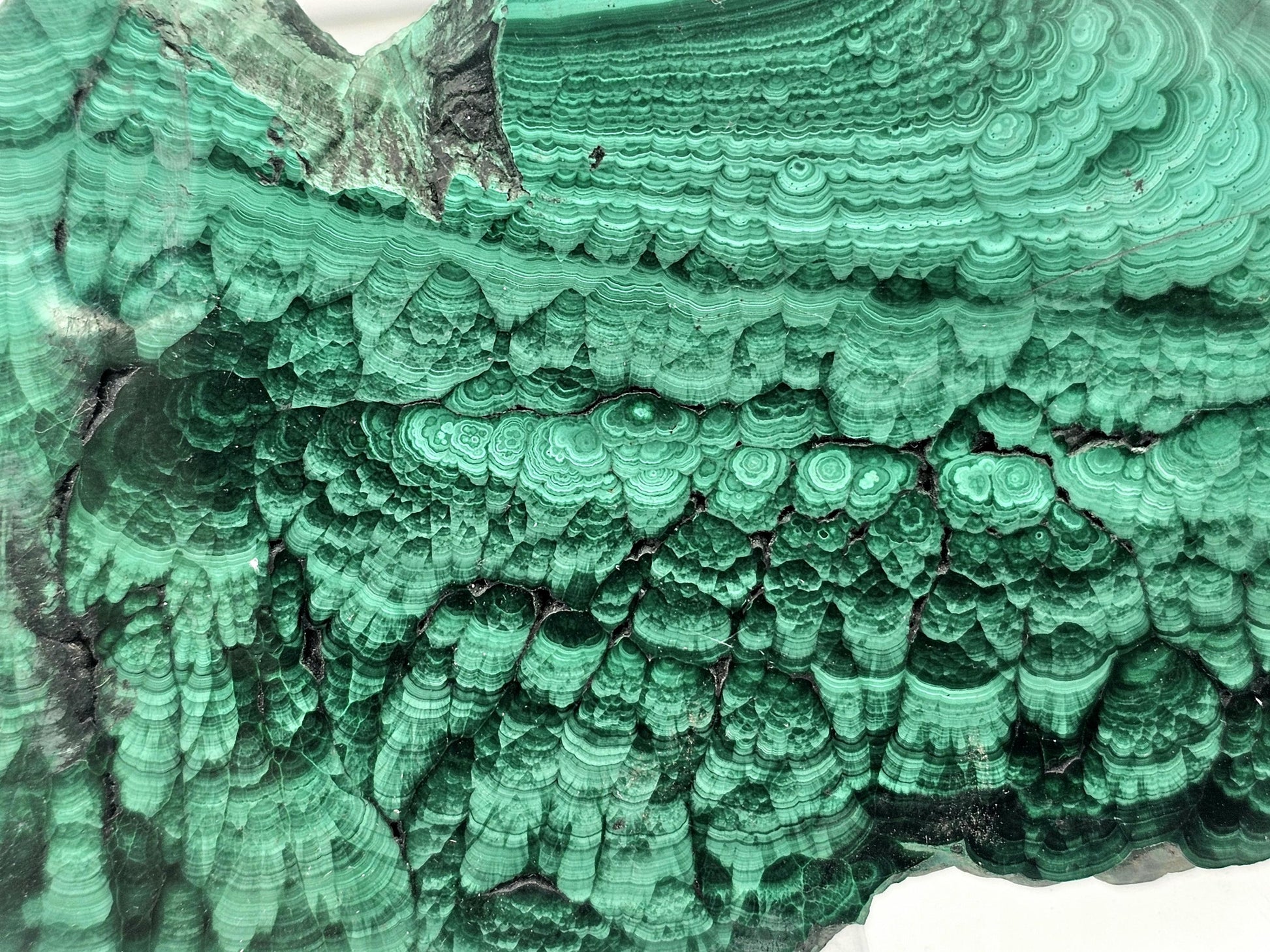 Close-up of malachite crystal slice, showing intricate green layers.