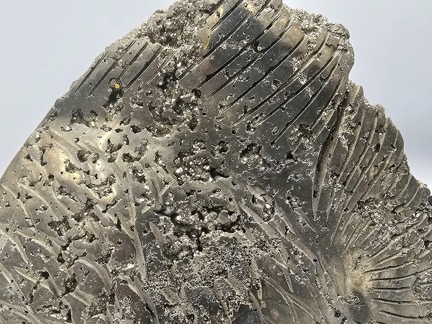 Large Gold Pyrite Fish Crystal Carving  (DP)