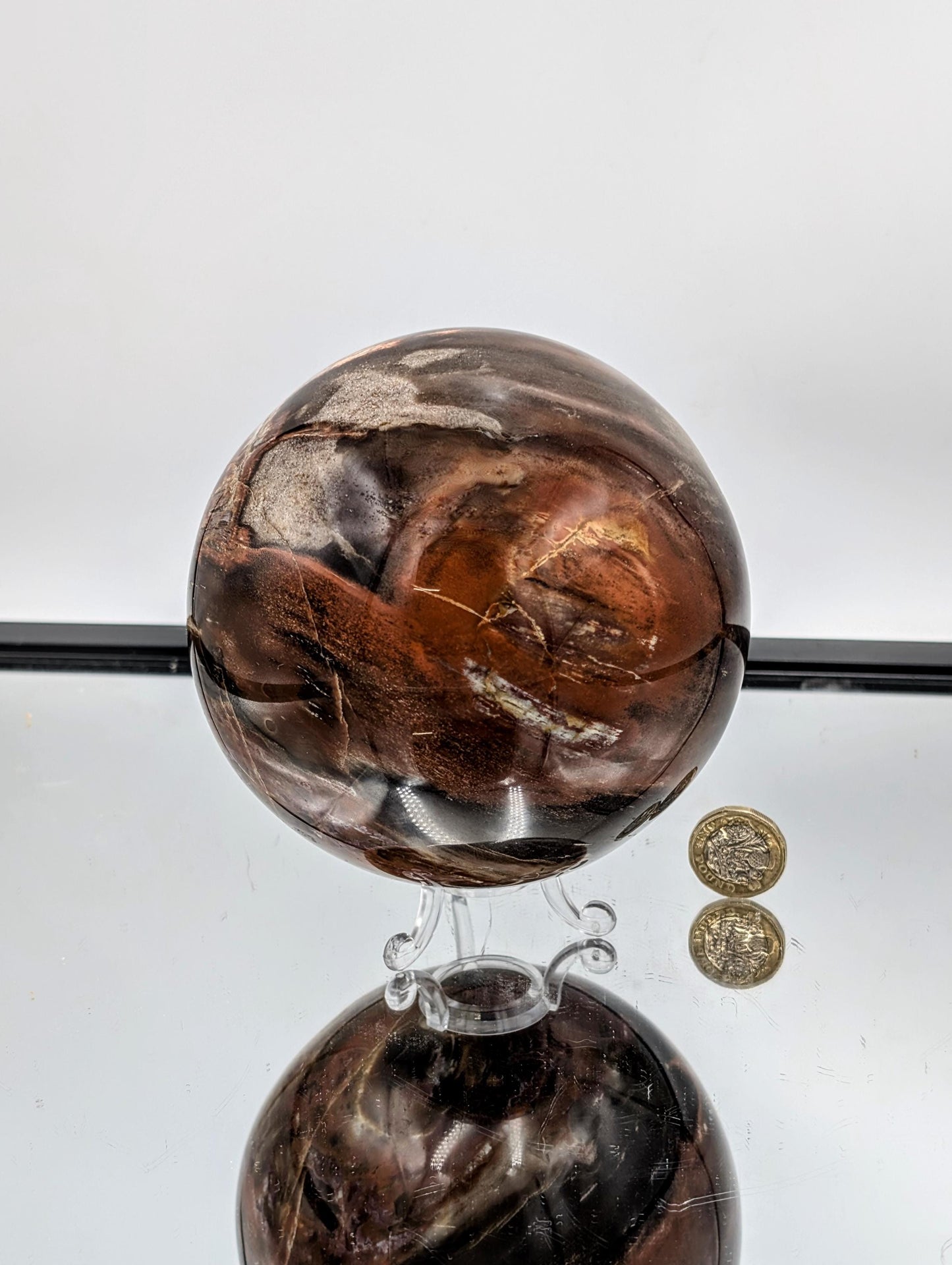 Large Fossil Wood Crystal Sphere (#1)