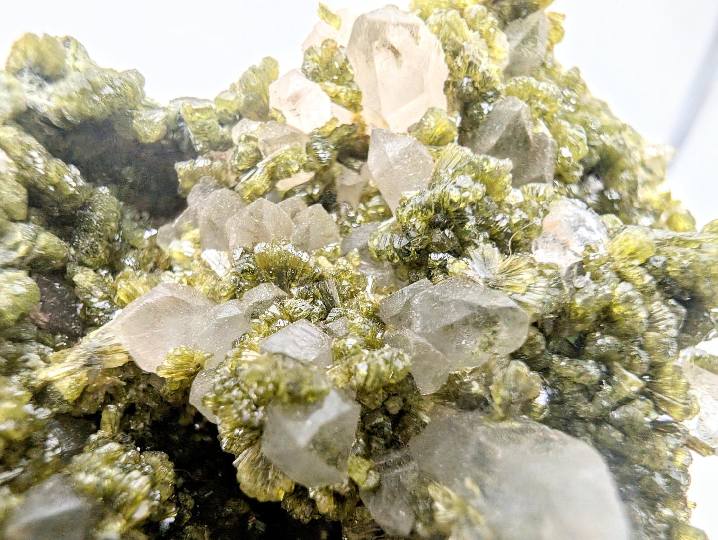 Forest Epidote On Quartz Crystal Fine Mineral (#11)