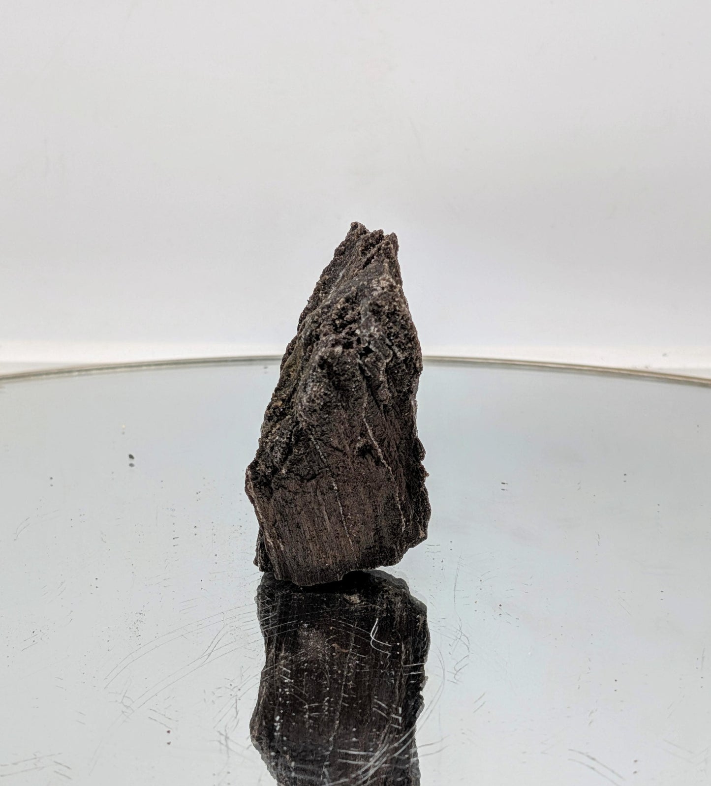 Fossil Wood Quartz Crystal Druze Rare Petrified Wood Germany (#26)