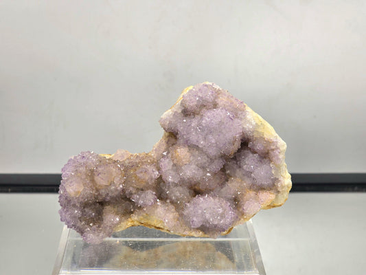Large Spirit Amethyst Crystal Cluster (#9)