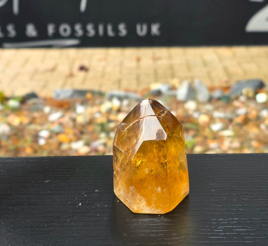 Natural Citrine Crystal Prism from Madagascar (#5)