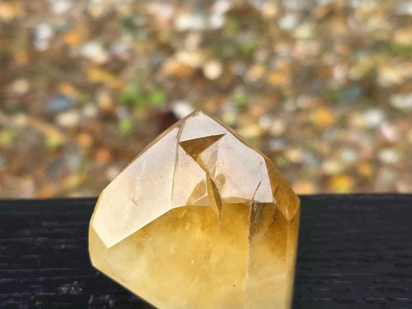 Natural Citrine Crystal Prism from Madagascar (#8)
