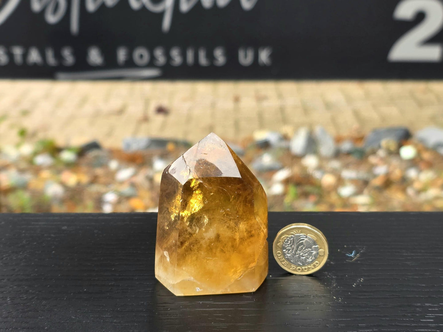 Natural Citrine Crystal Prism from Madagascar (#5)