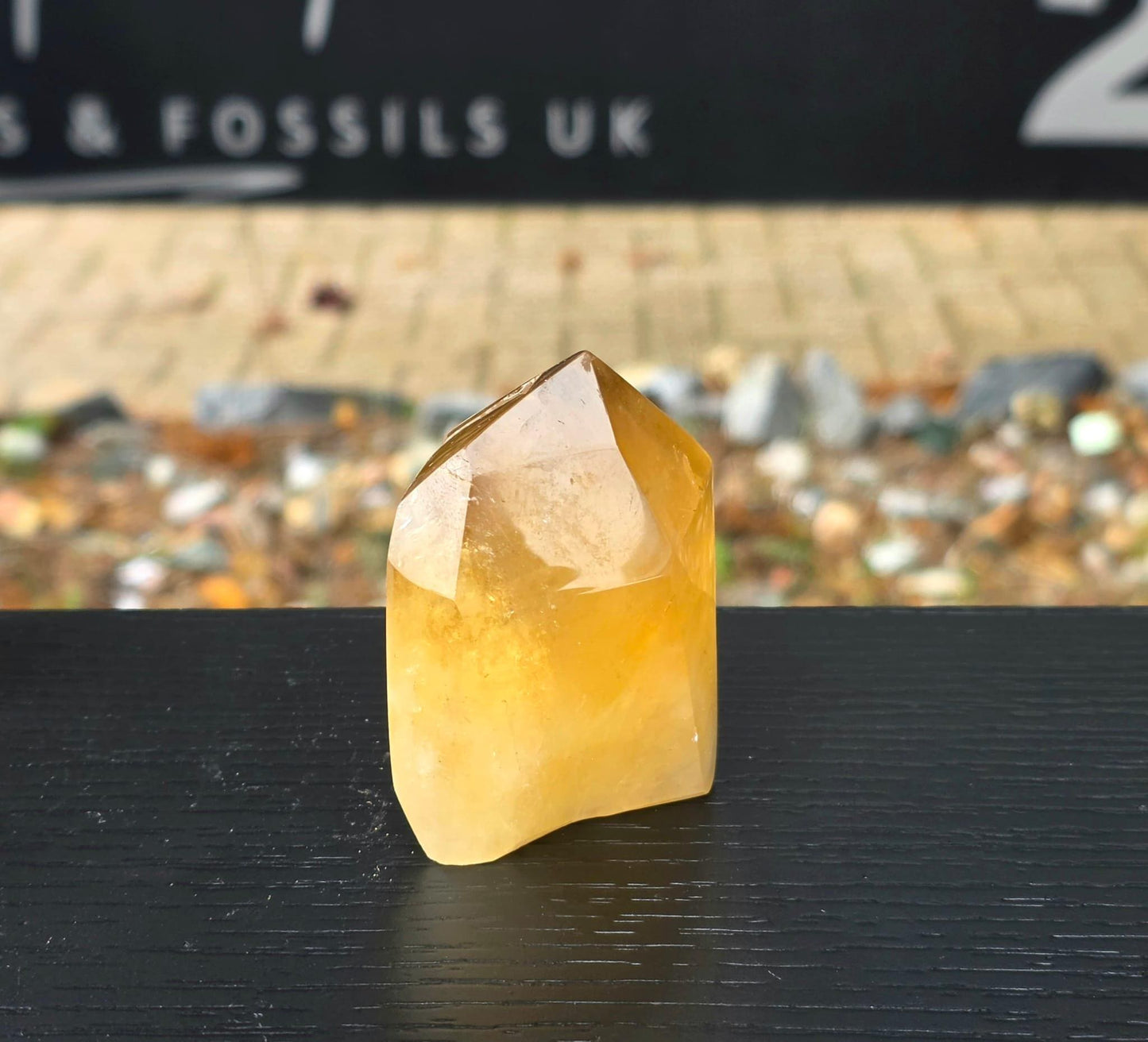 Natural Citrine Crystal Prism from Madagascar (#8)