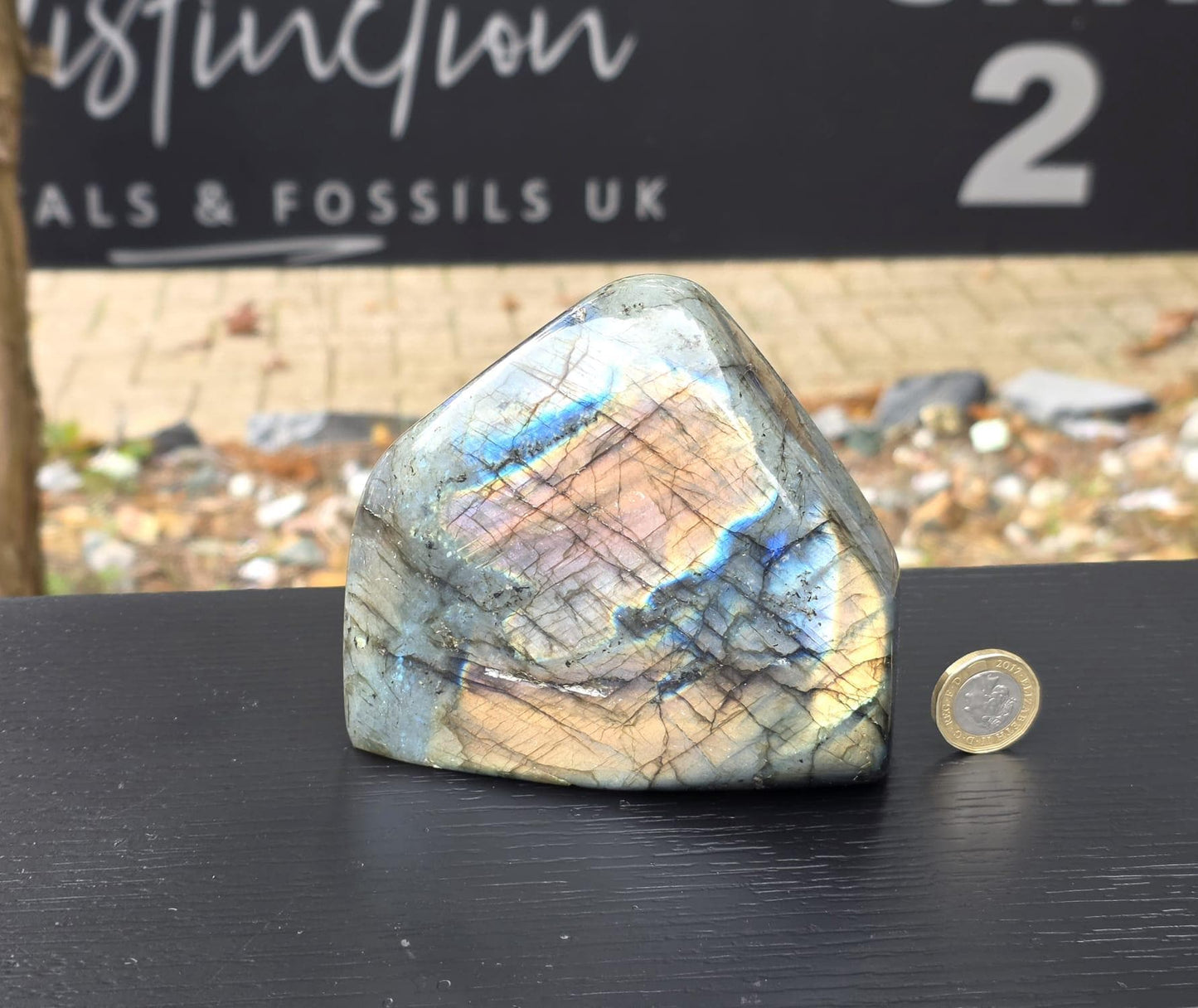Labradorite Crystal | Fully Polished Labradorite #2
