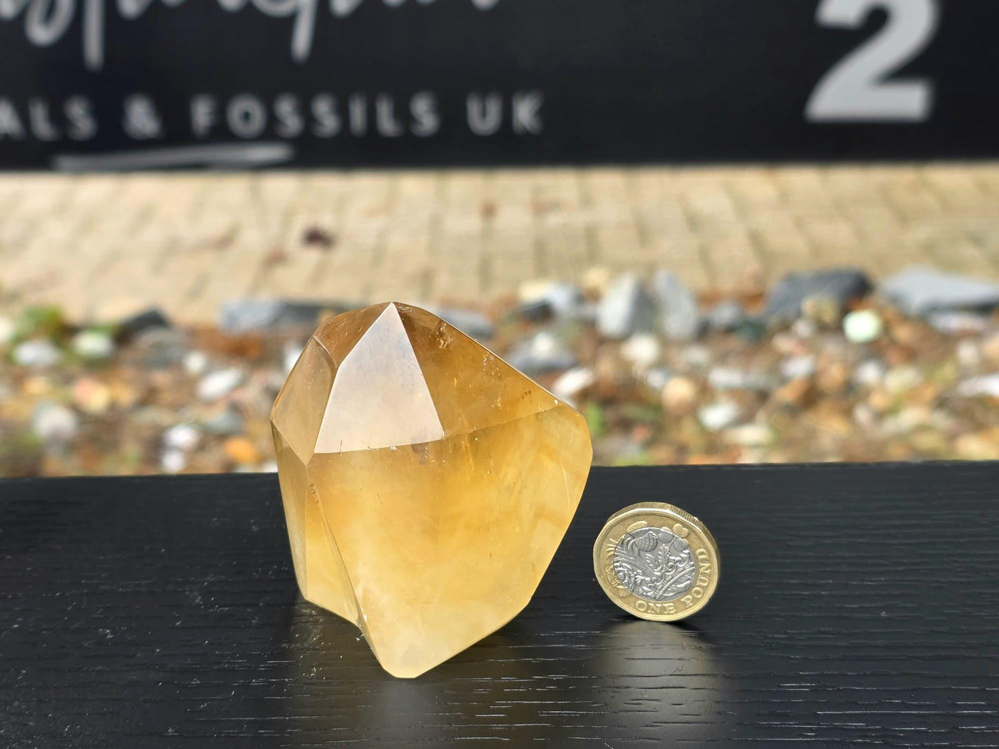 Natural Citrine Crystal Prism from Madagascar (#8)
