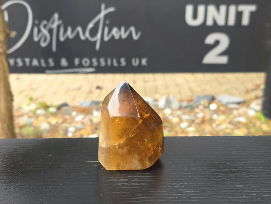 Natural Citrine Crystal Prism from Madagascar (#3)