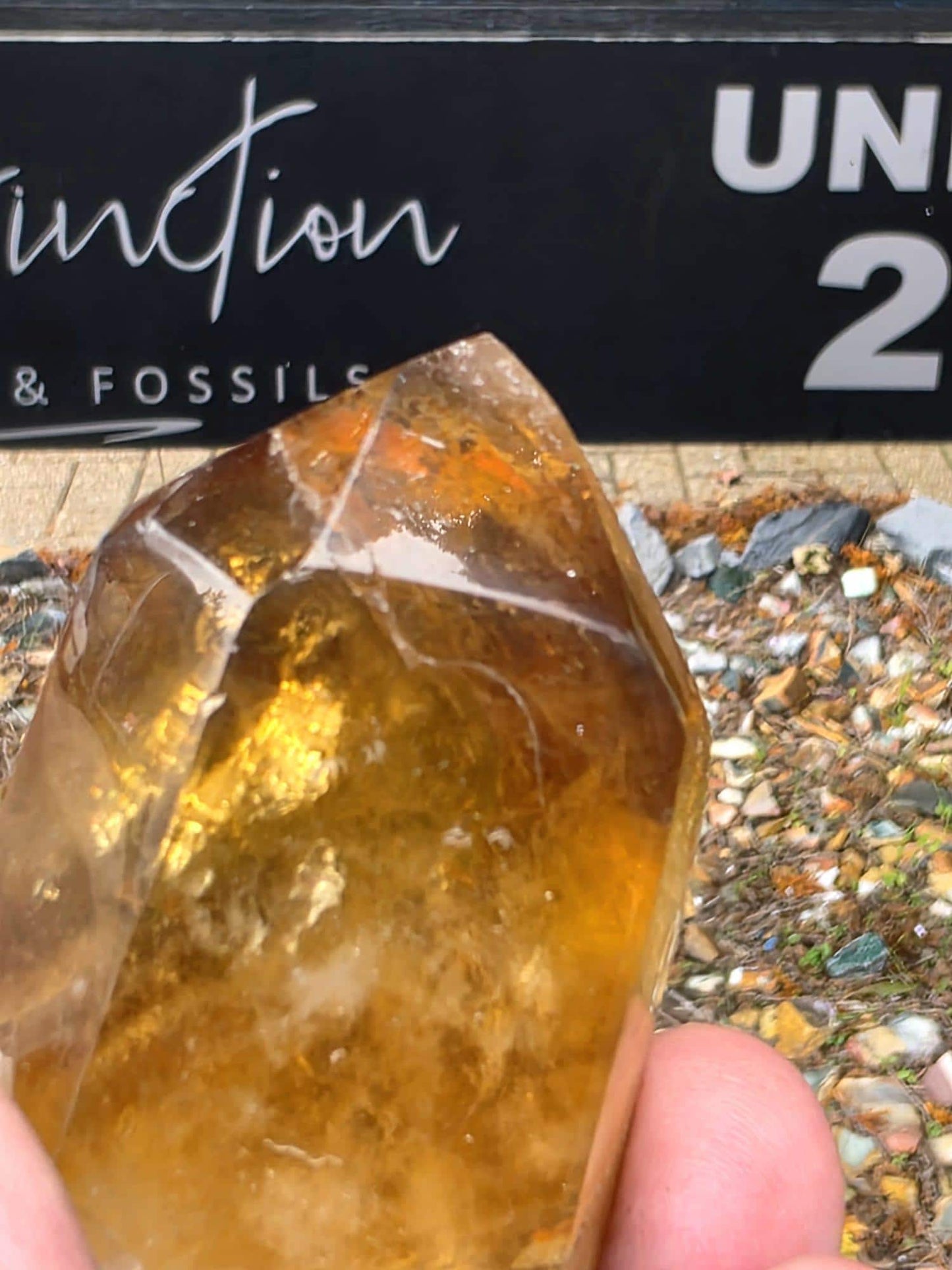 Natural Citrine Crystal Prism from Madagascar (#5)