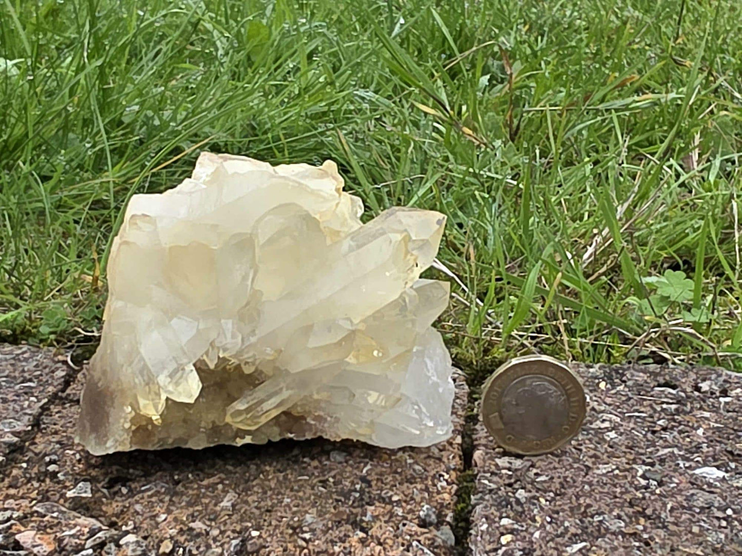 Madagascan Rich Citrine Crystal Cluster (DP)