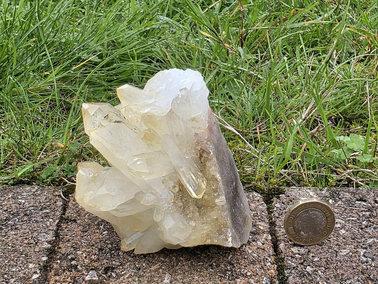 Madagascan Rich Citrine Crystal Cluster (DP)