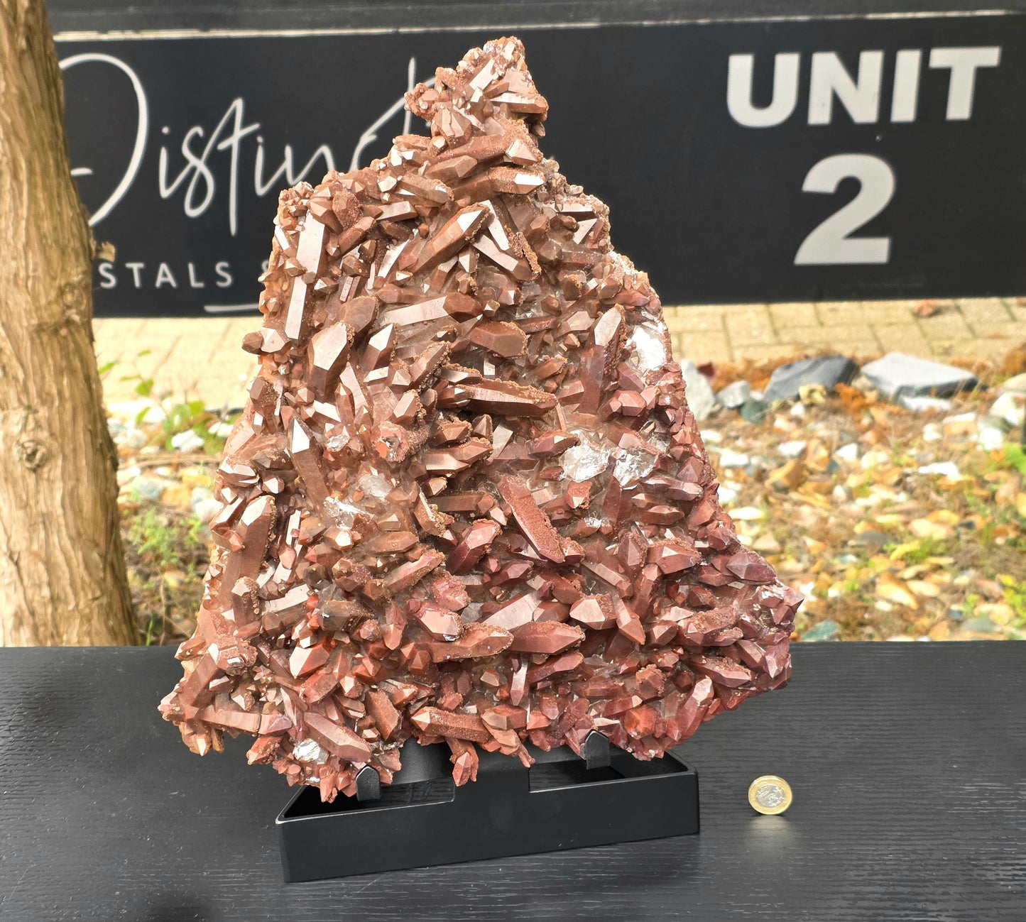 11) Hematite Stained Quartz Crystal Cluster