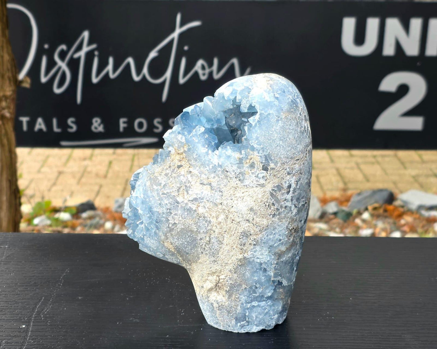 Exceptional Large Celestite Freeform #3 | 3.56 KG Blue Celestine Mineral Specimen | Natural Crystal with Cut Base | Collector Display