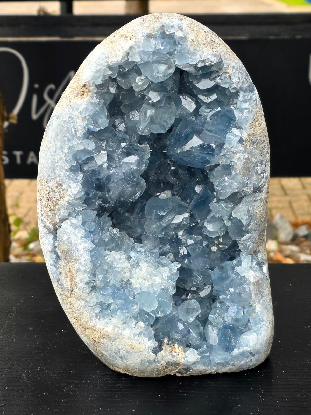 Very Large Celestite Freeform #2 | 5.85 KG Blue Celestine Mineral Specimen | Natural Crystal with Cut Base | Collector Display