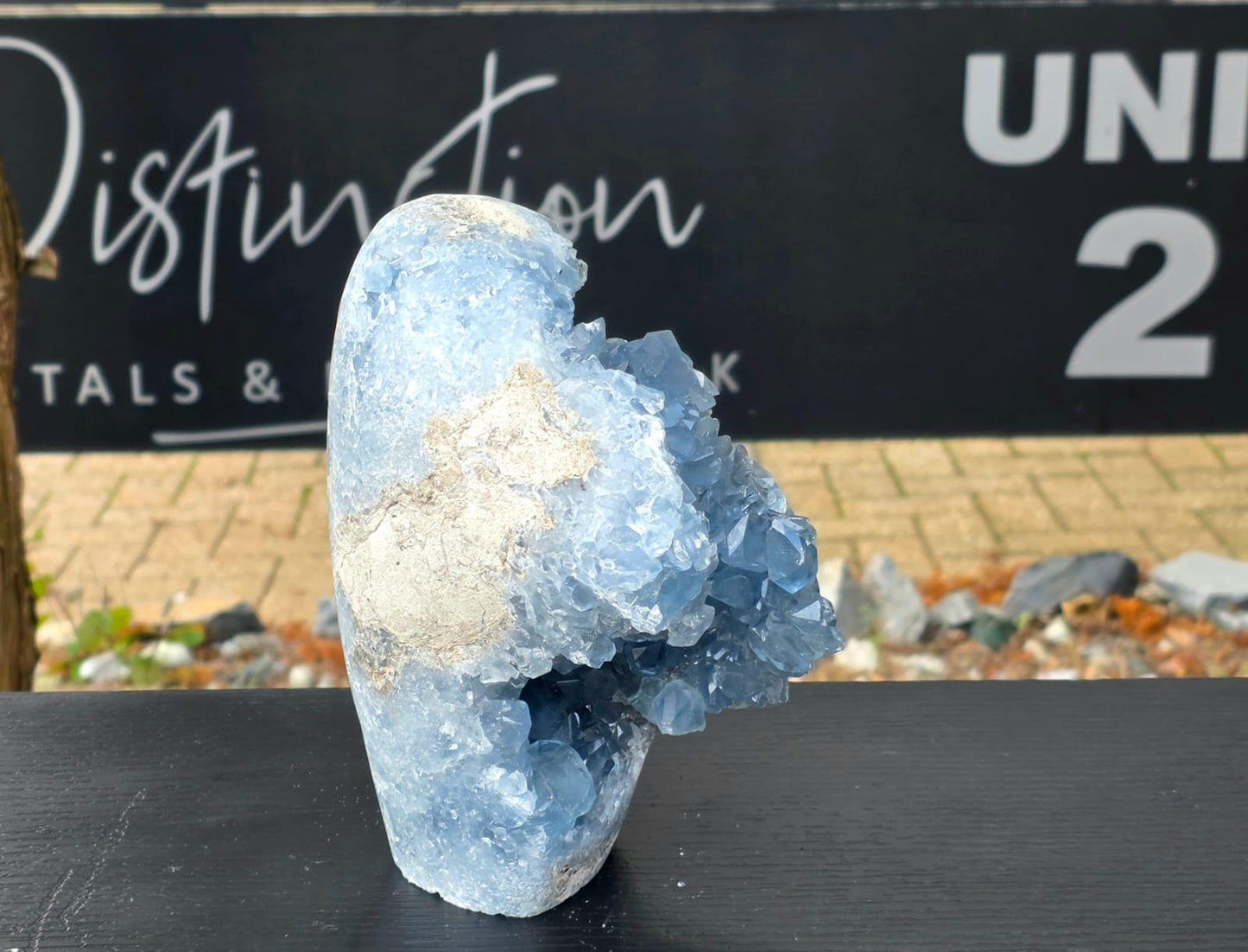 Exceptional Large Celestite Freeform #3 | 3.56 KG Blue Celestine Mineral Specimen | Natural Crystal with Cut Base | Collector Display