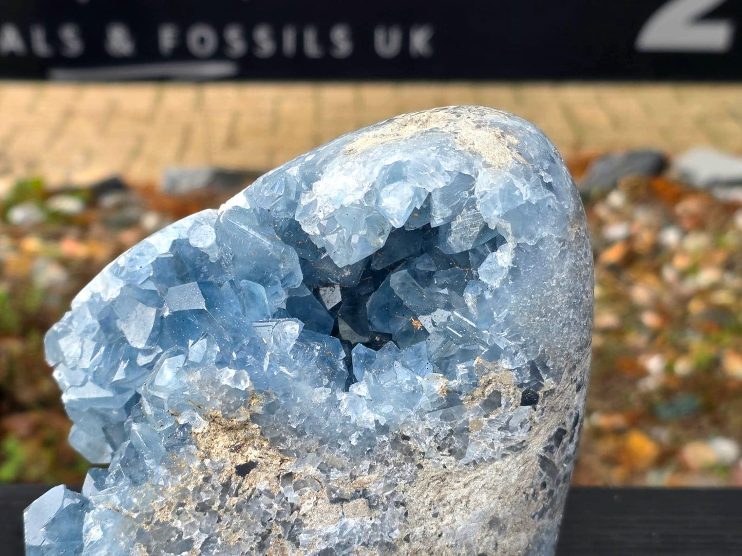 Exceptional Large Celestite Freeform #3 | 3.56 KG Blue Celestine Mineral Specimen | Natural Crystal with Cut Base | Collector Display