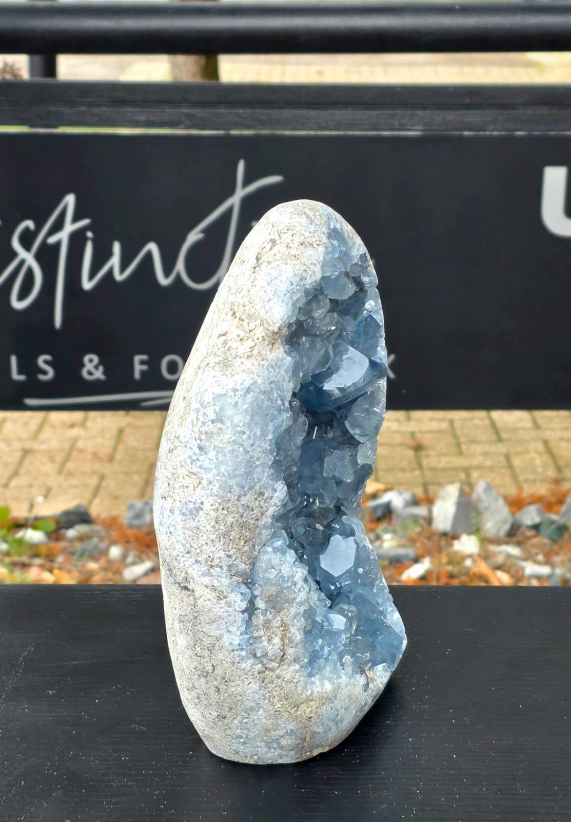 Very Large Celestite Freeform #2 | 5.85 KG Blue Celestine Mineral Specimen | Natural Crystal with Cut Base | Collector Display