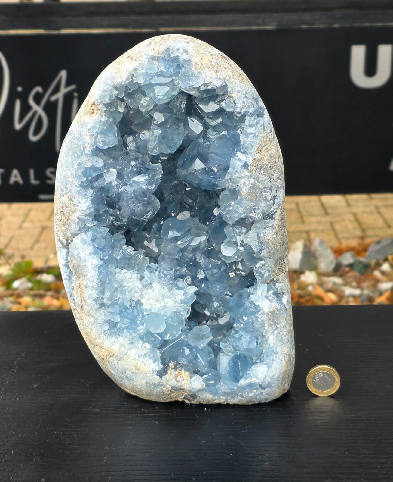Very Large Celestite Freeform #2 | 5.85 KG Blue Celestine Mineral Specimen | Natural Crystal with Cut Base | Collector Display