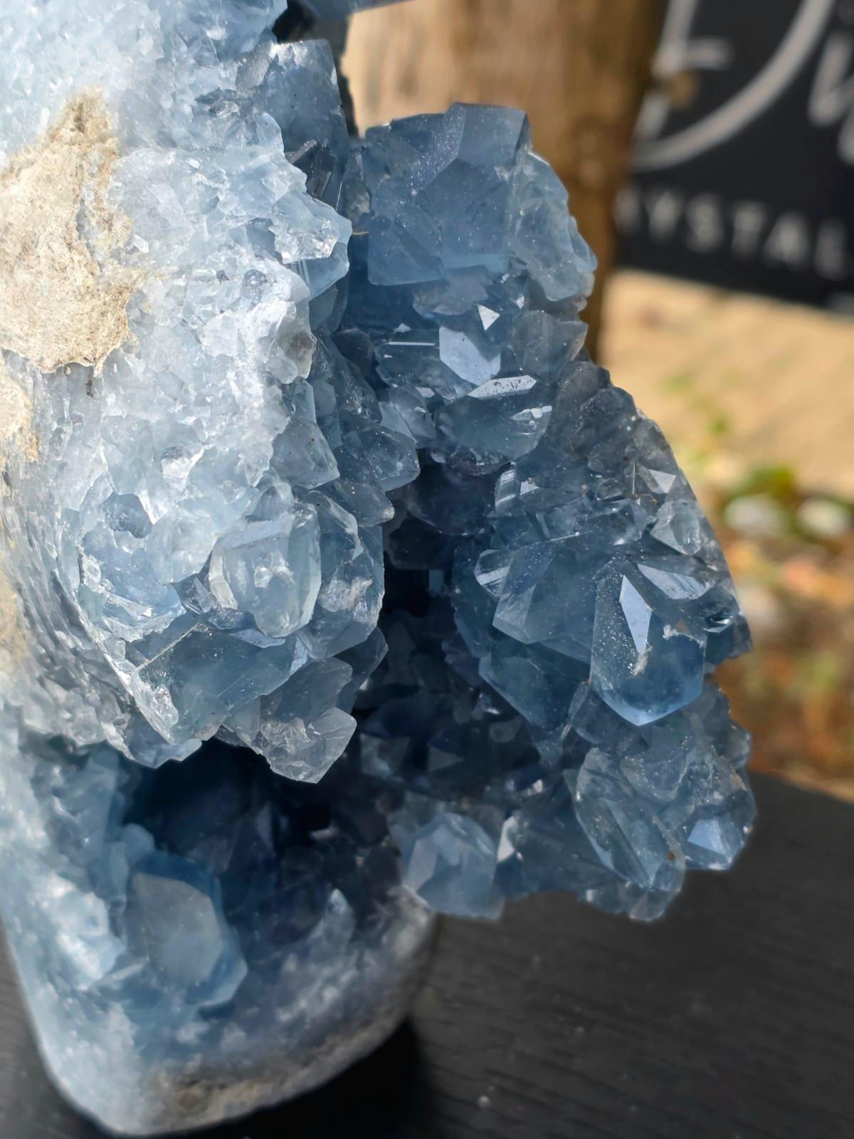 Exceptional Large Celestite Freeform #3 | 3.56 KG Blue Celestine Mineral Specimen | Natural Crystal with Cut Base | Collector Display