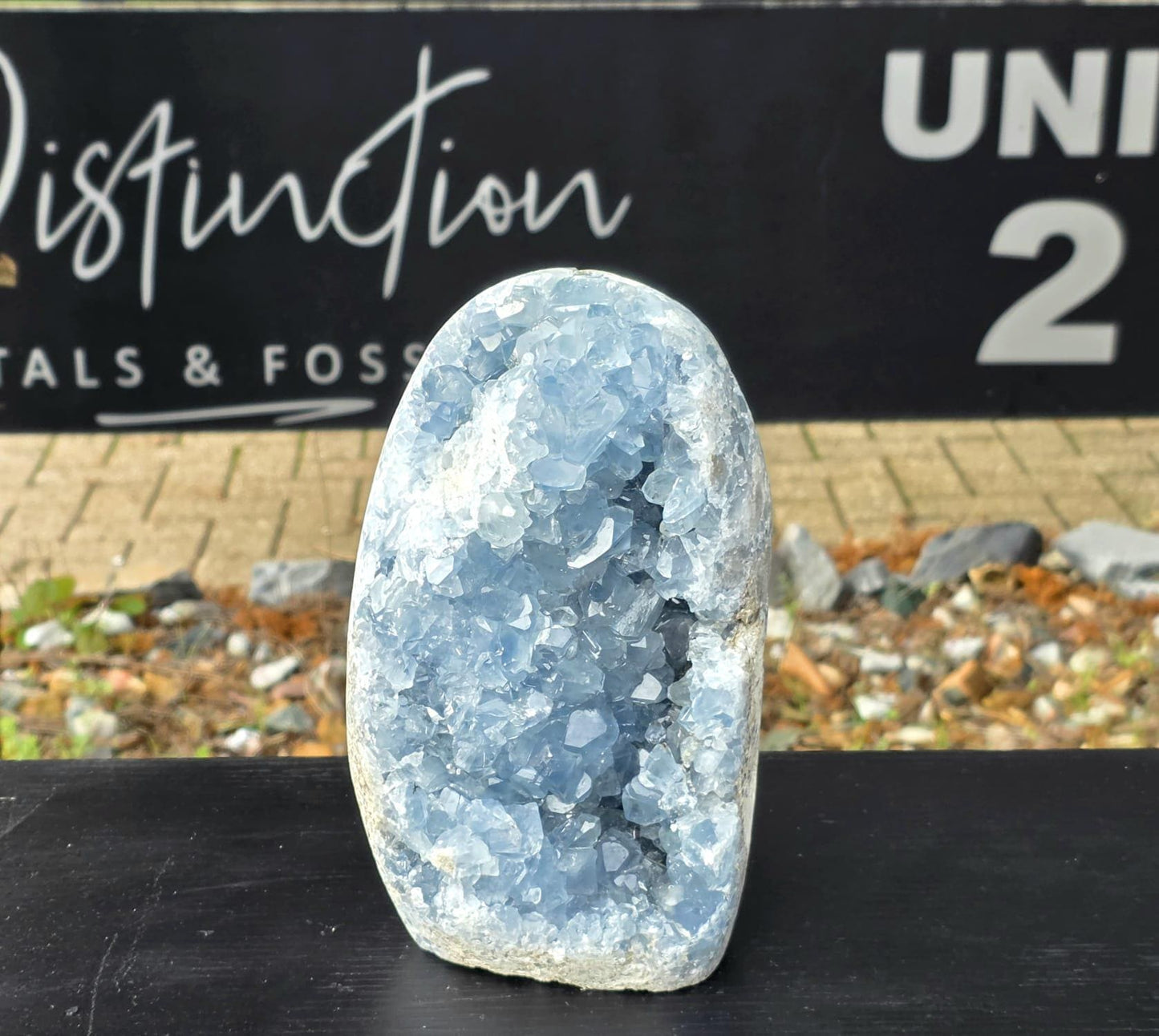 Large Celestite Freeform #1 | 6.36 KG Blue Celestine Mineral Specimen | Natural Crystal with Cut Base | Collector Display