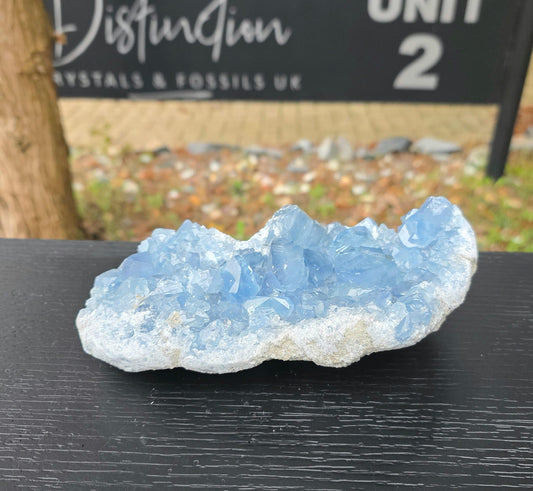 Large Celestite Crystal Cluster | Natural Blue Celestine Mineral | #13