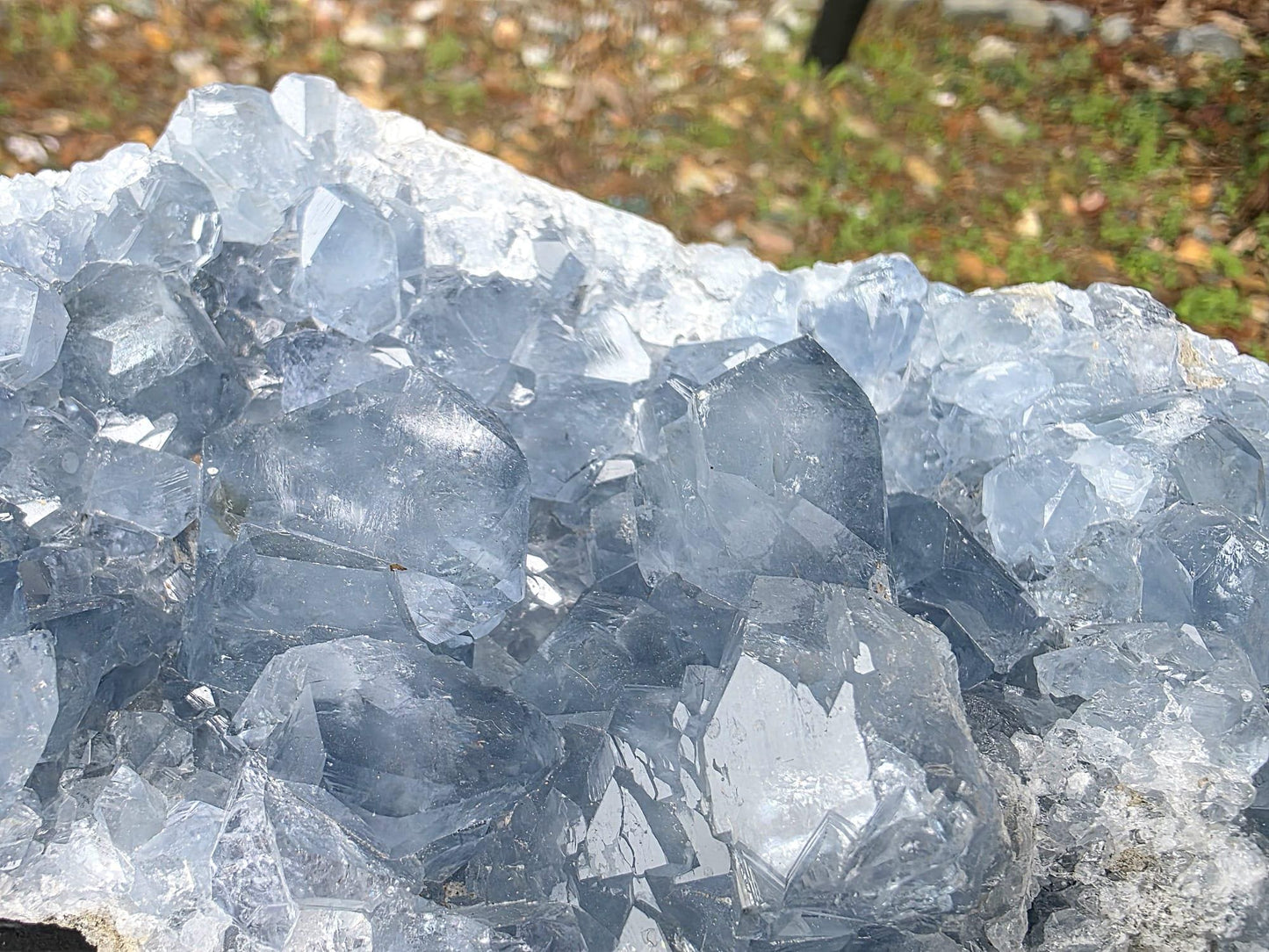 Large Celestite Crystal Cluster | Natural Blue Celestine Mineral | #13