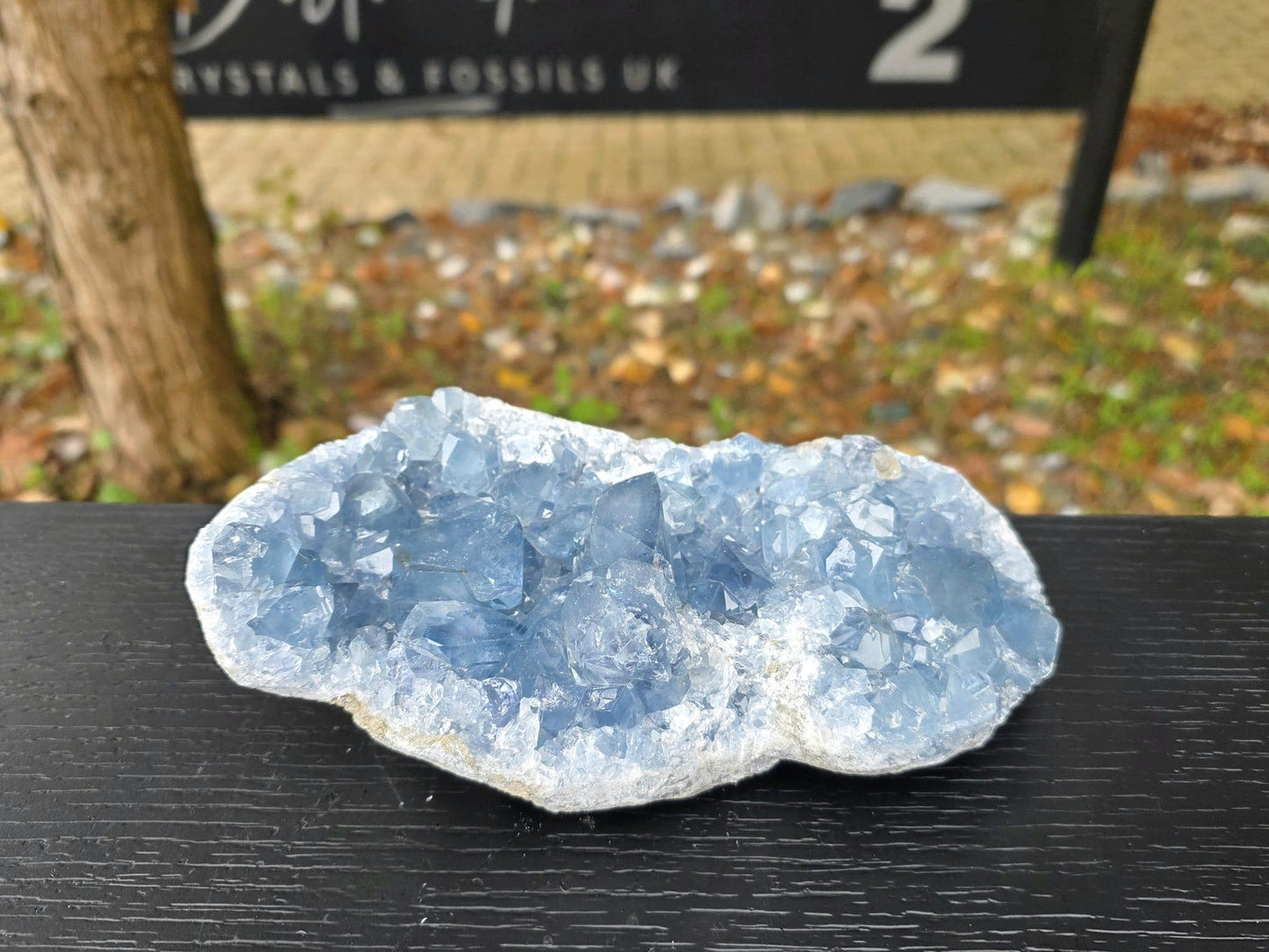 Large Celestite Crystal Cluster | Natural Blue Celestine Mineral | #13