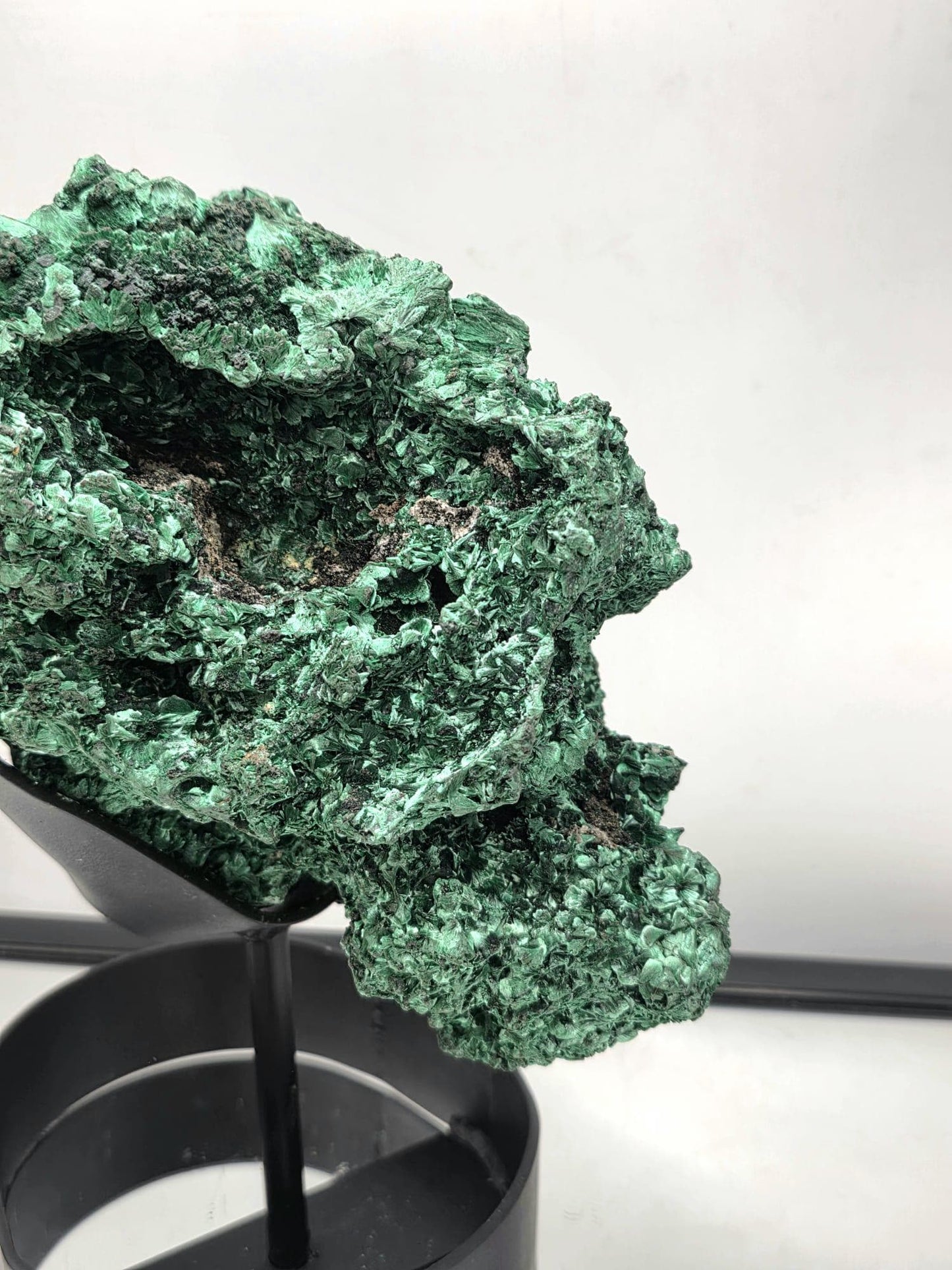 Flower Malachite Crystal Skull Face on Custom Stand | Unique Malachite | Holistic Interior Design