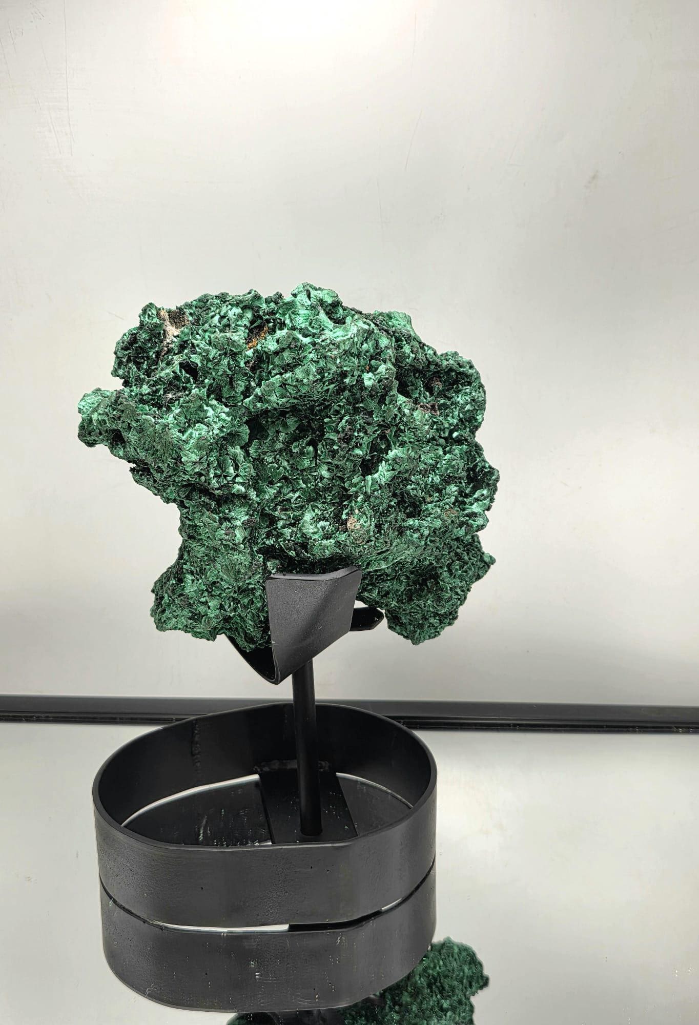 Flower Malachite Crystal Skull Face on Custom Stand | Unique Malachite | Holistic Interior Design