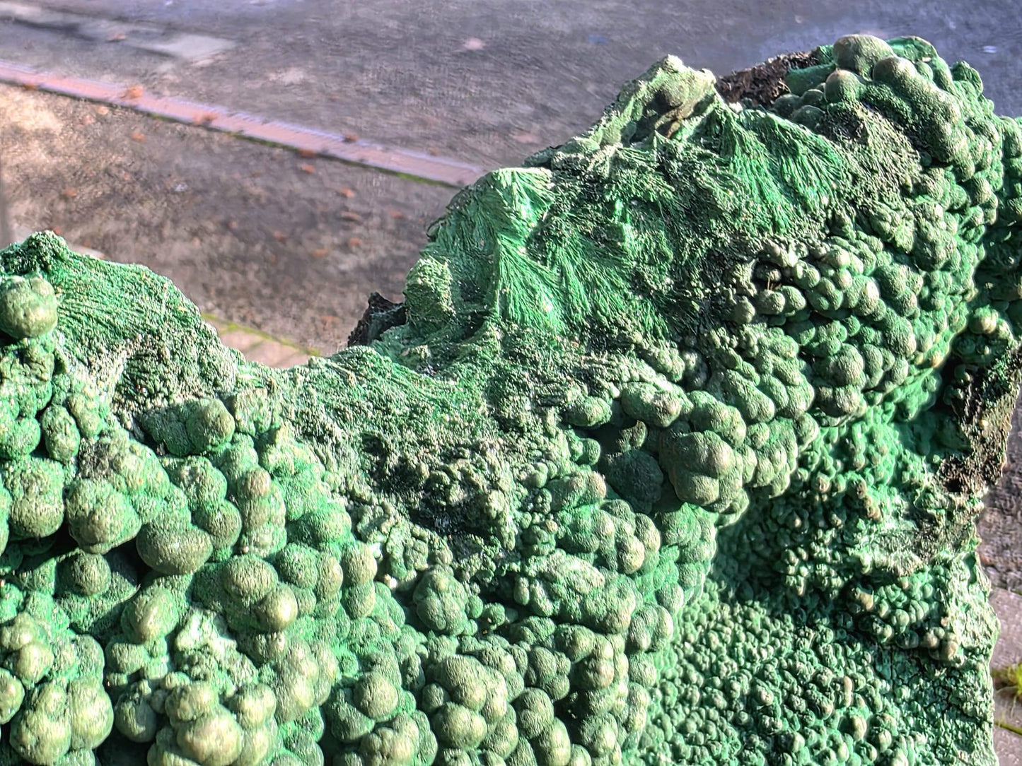 Large Natural Malachite Botryoidal Crystal on Custom Stand – Statement Mineral Display | Collector’s Piece