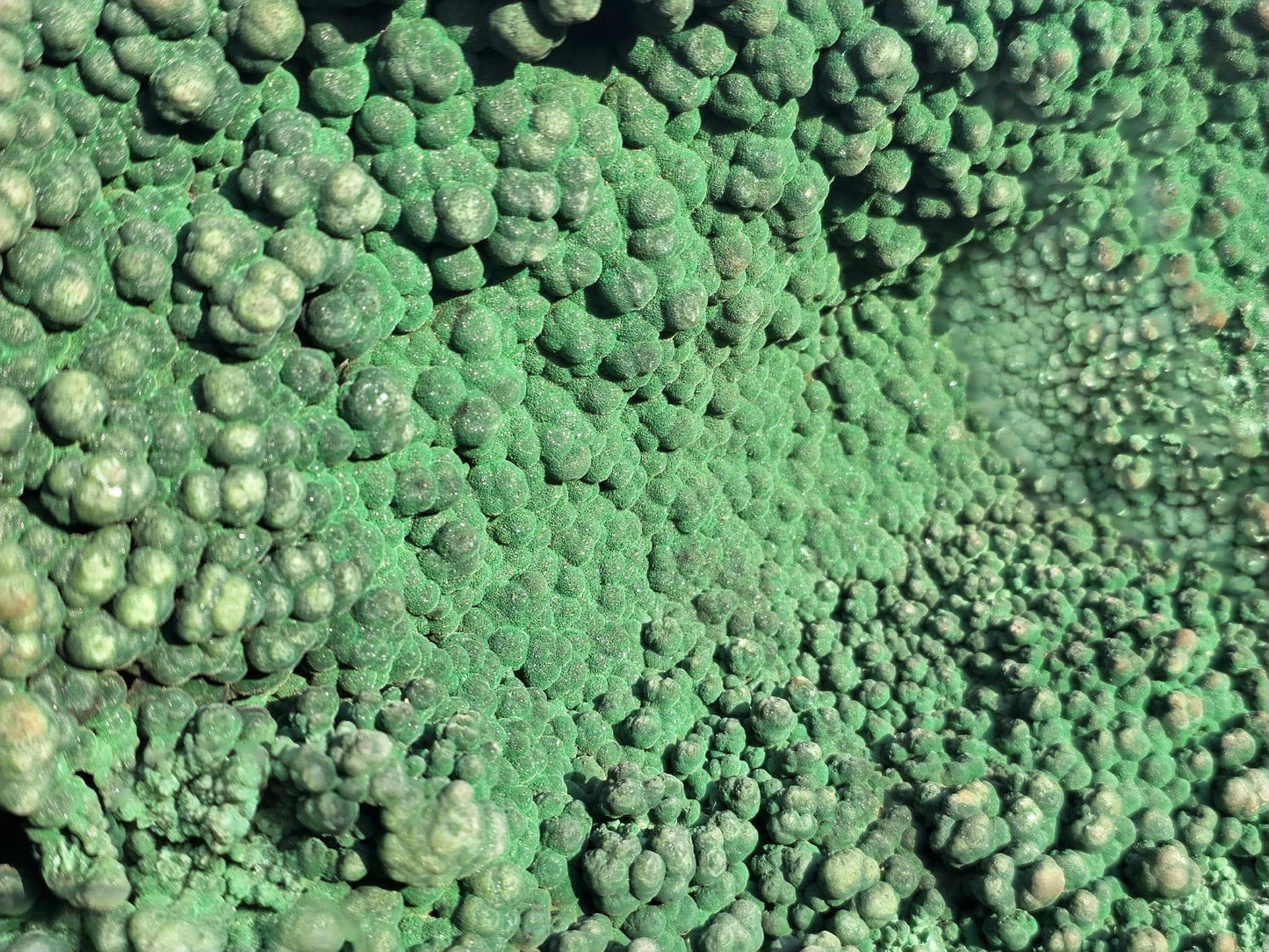 Large Natural Malachite Botryoidal Crystal on Custom Stand – Statement Mineral Display | Collector’s Piece