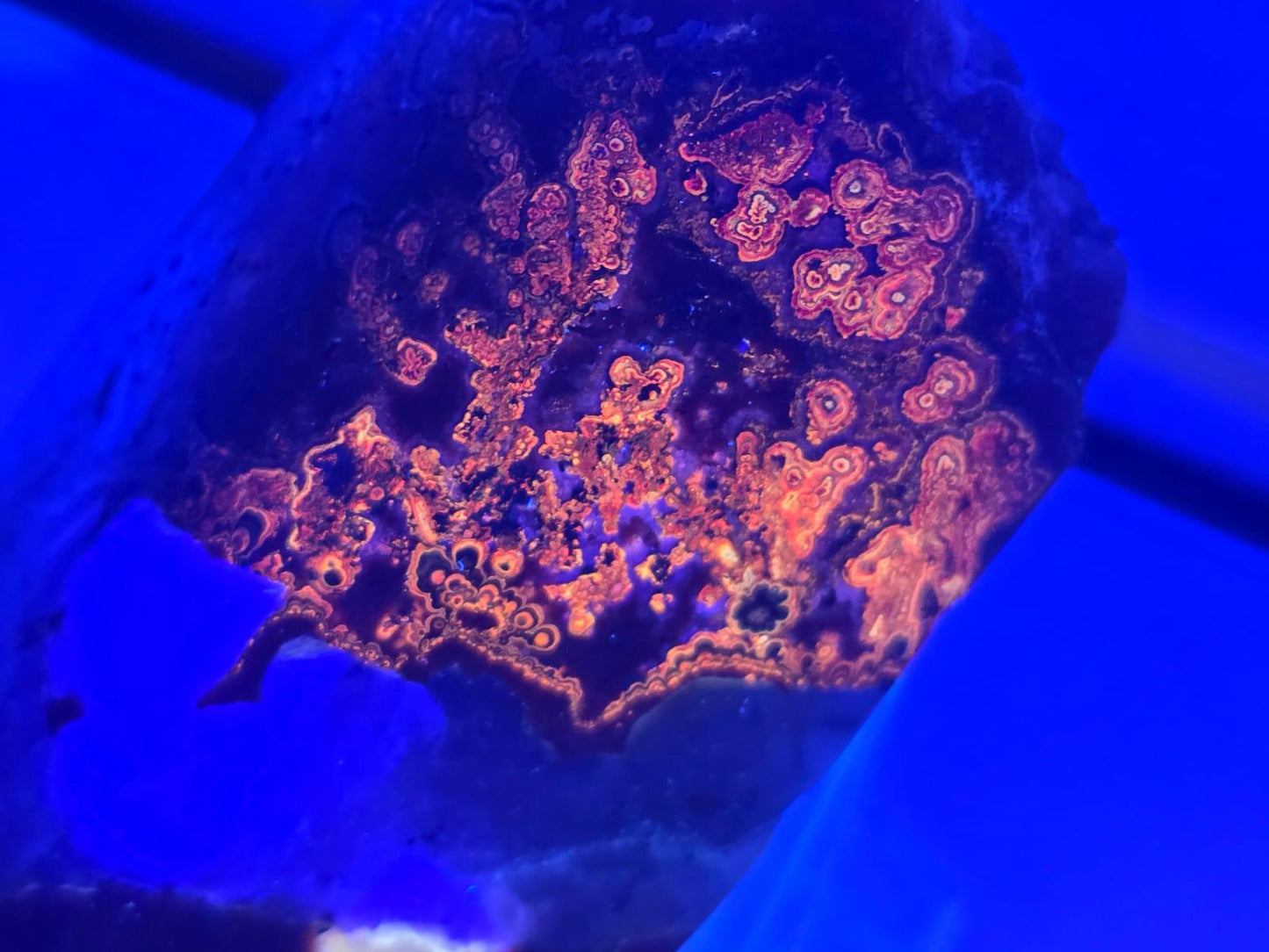 Imperial Baryte Crystal Freeform (#8)