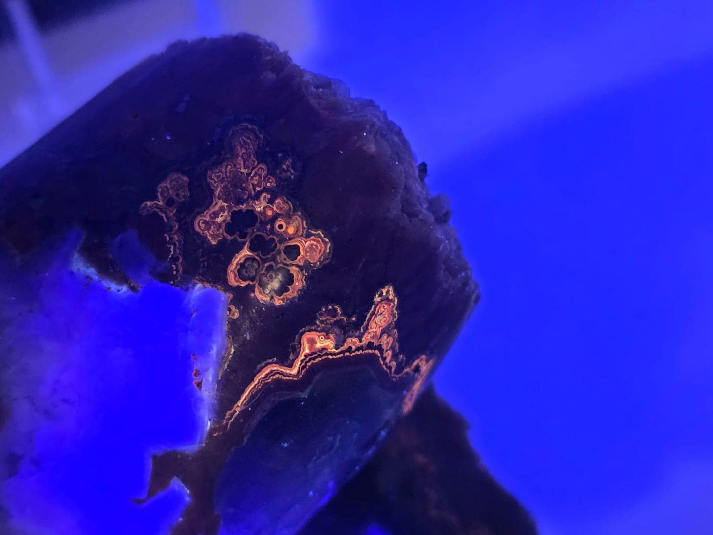 Imperial Baryte Crystal Freeform (#7)