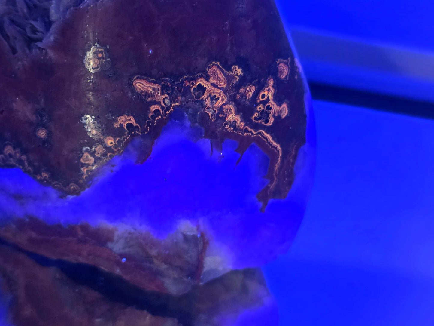 Large Imperial Baryte Crystal Freeform(#4)